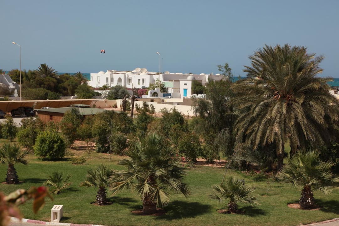 Растения TUI MAGIC LIFE Penelope Beach