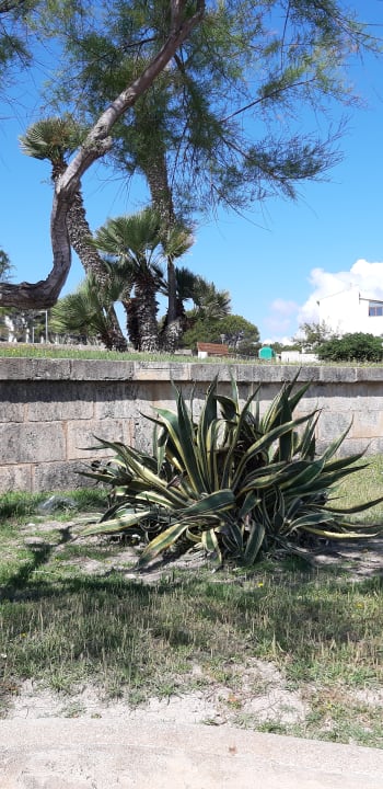 Gartenanlage The Sea Hotel by Grupotel - Adults only