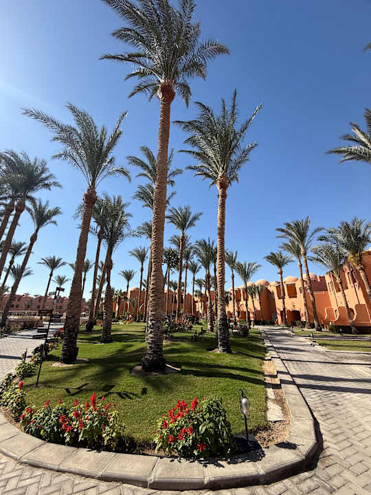 Gartenanlage Jaz Makadi Oasis Resort