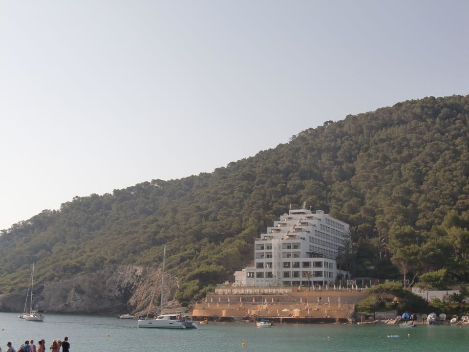 Hotel aus der Perspektive Palladium Hotel Cala LLonga - Adults only