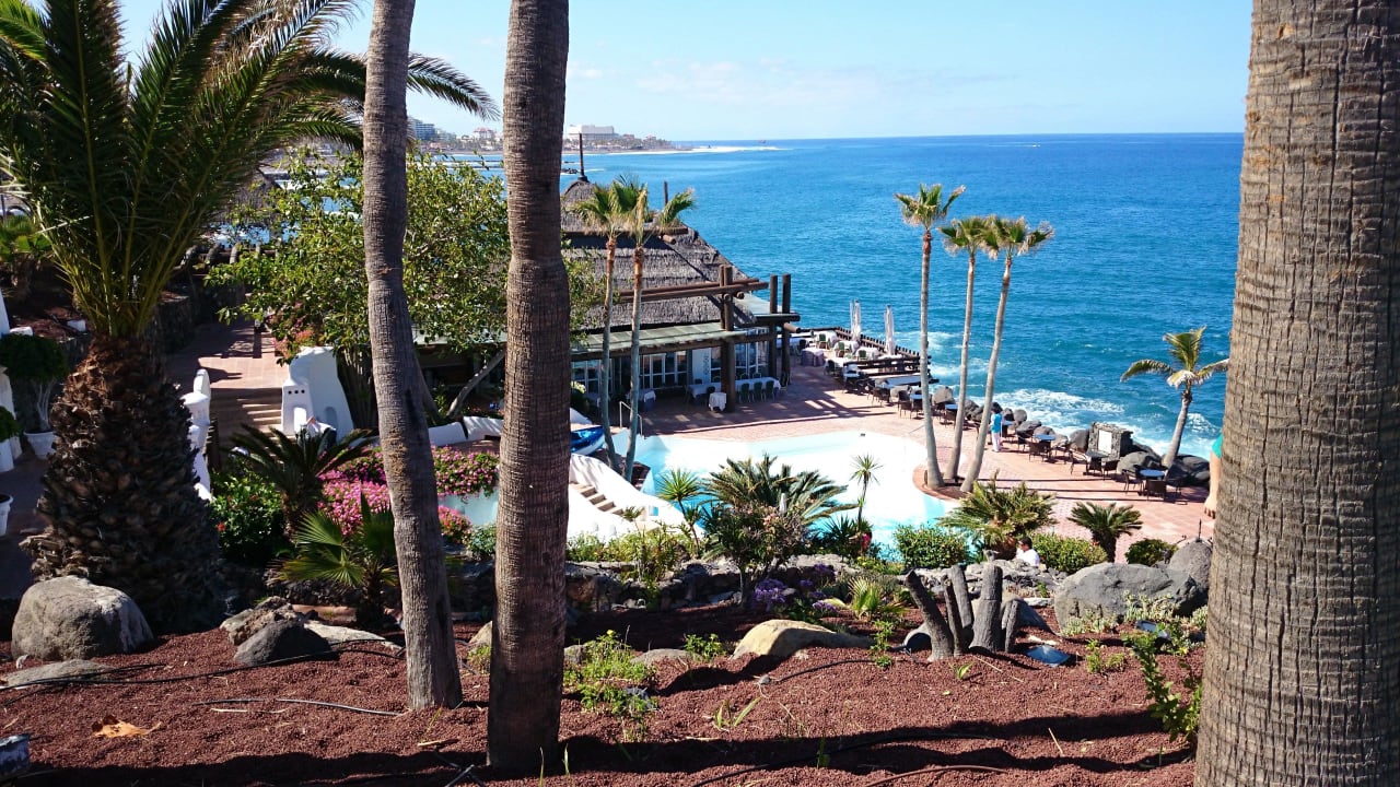 Meerwasserpool Dreams Jardín Tropical