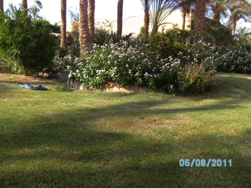 Poollandschaft Jaz Makadi Oasis Resort