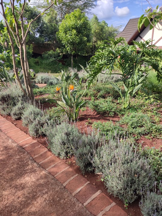 Gartenanlage The Retreat at Ngorongoro