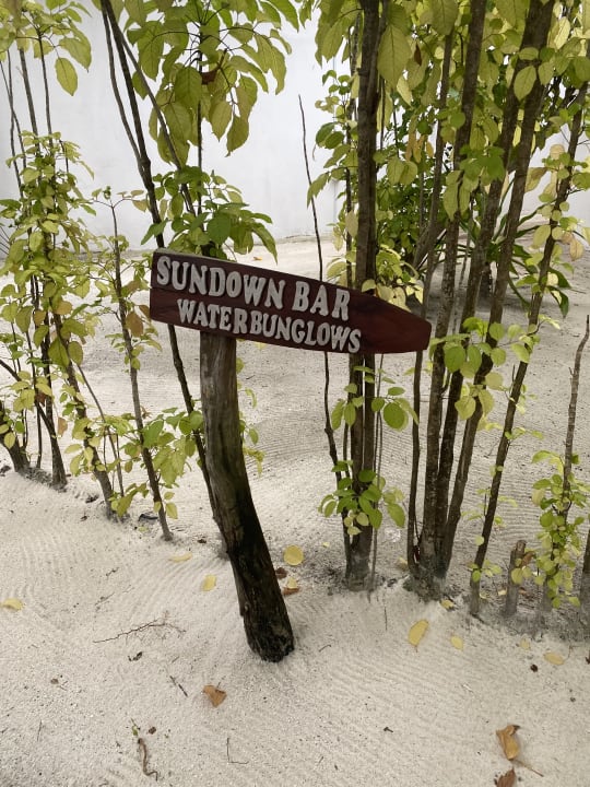 Gartenanlage Angaga Island Resort