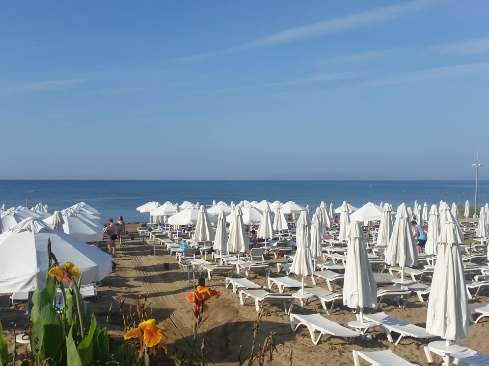 Schön , aber eng gestellt Seaden Corolla Hotel