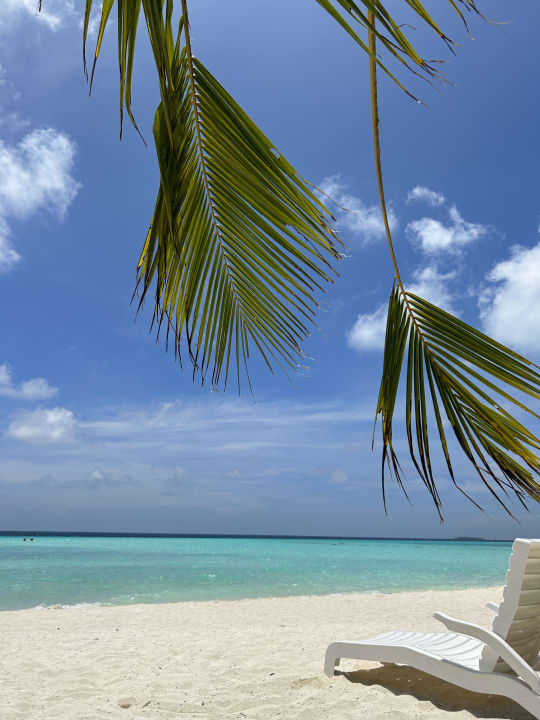 Strand Summer Island Maldives