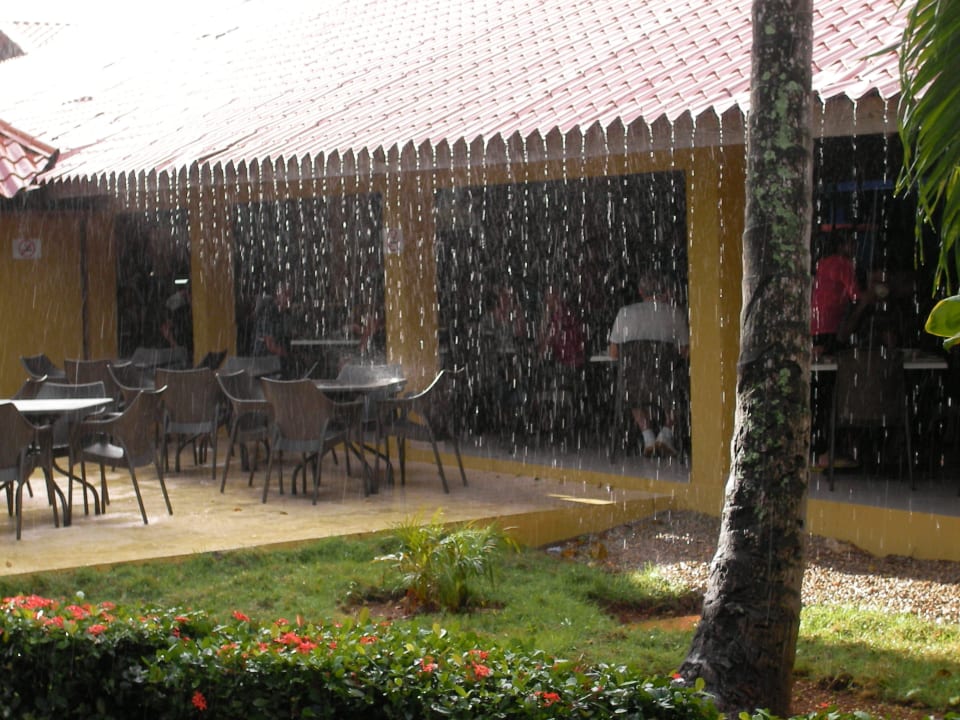 Regentag (Restaurant) Wyndham Alltra Samana