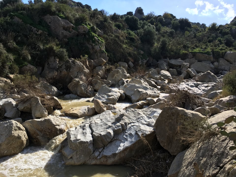 Gartenanlage Villa Mimosa