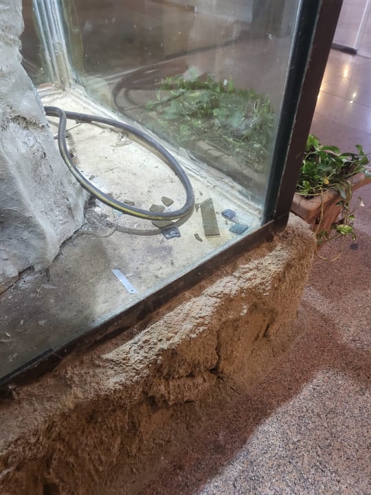 Sonstiges Hotel Caves Beach Resort (Adults Only)