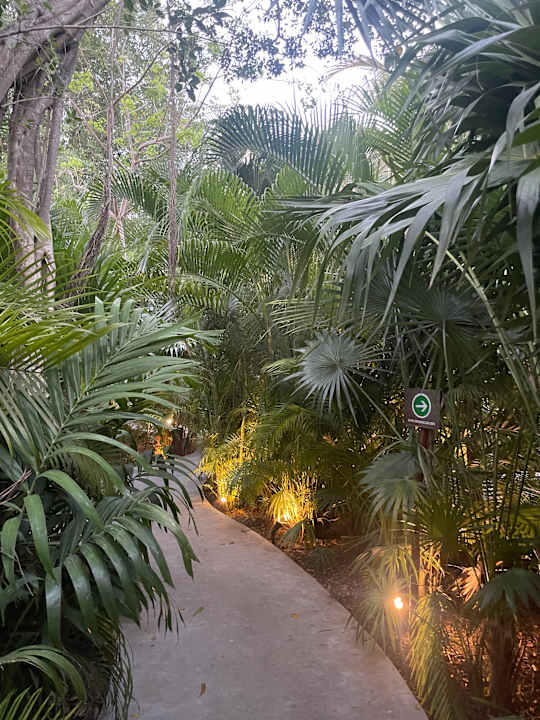 Gartenanlage Zenses Wellness and Yoga Resort - Adults Only