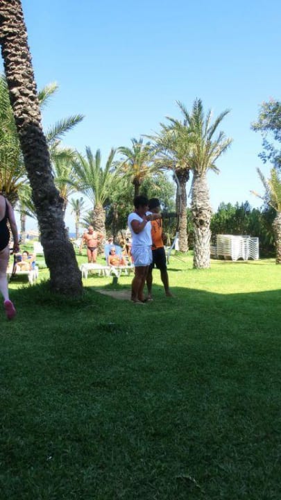 Bogenschießen mit Aldo Hotel Rosa Beach