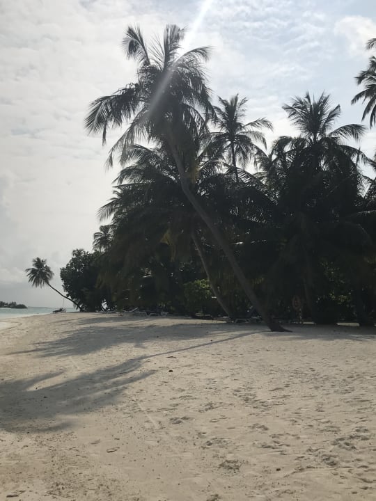 Strand Meeru Maldives Resort Island
