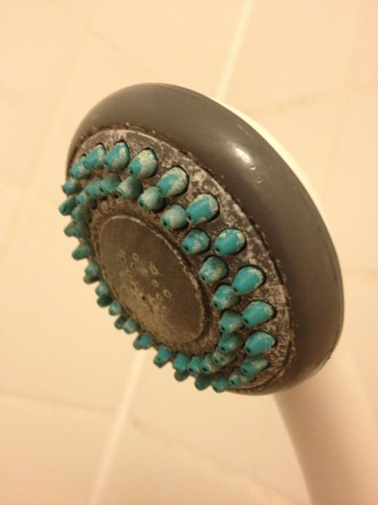 Duschkopf Apartments Hillingdon Prince