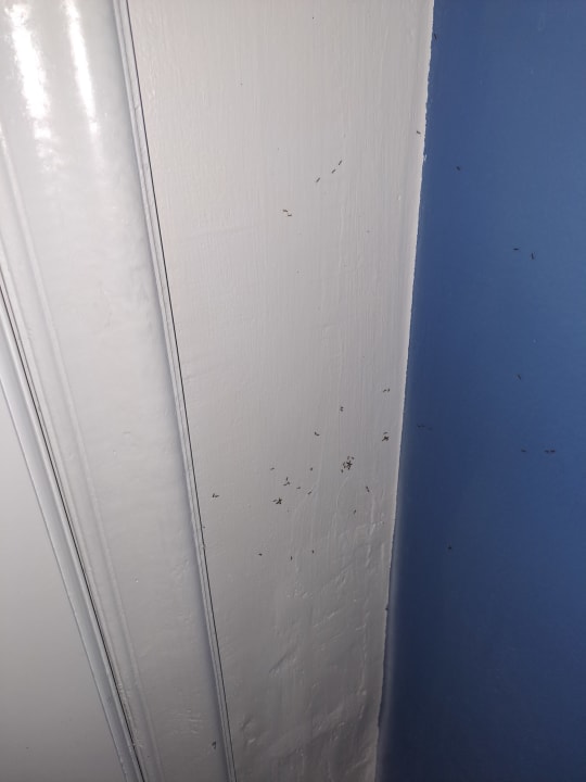 Zimmer Hotel Nesrine