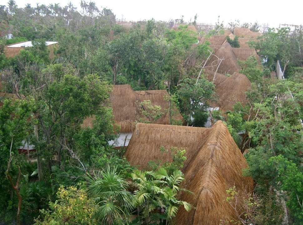 Aussicht auf Las Palapas Hotel Las Palapas