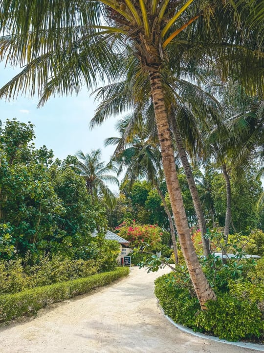 Gartenanlage Centara Ras Fushi Resort & Spa Maldives