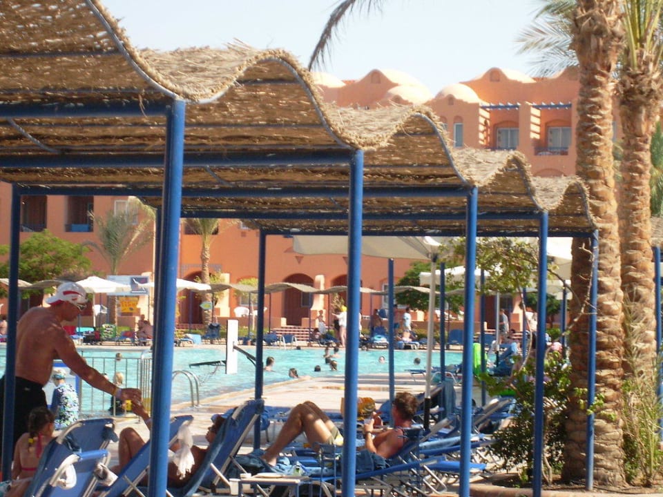 Am Pool Jaz Makadi Oasis Resort