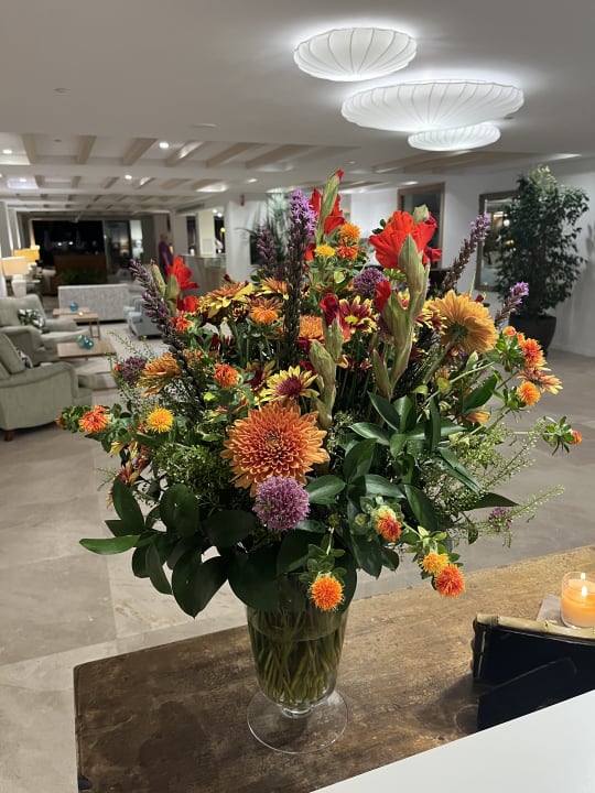 Lobby Myseahouse Flamingo - Adults only