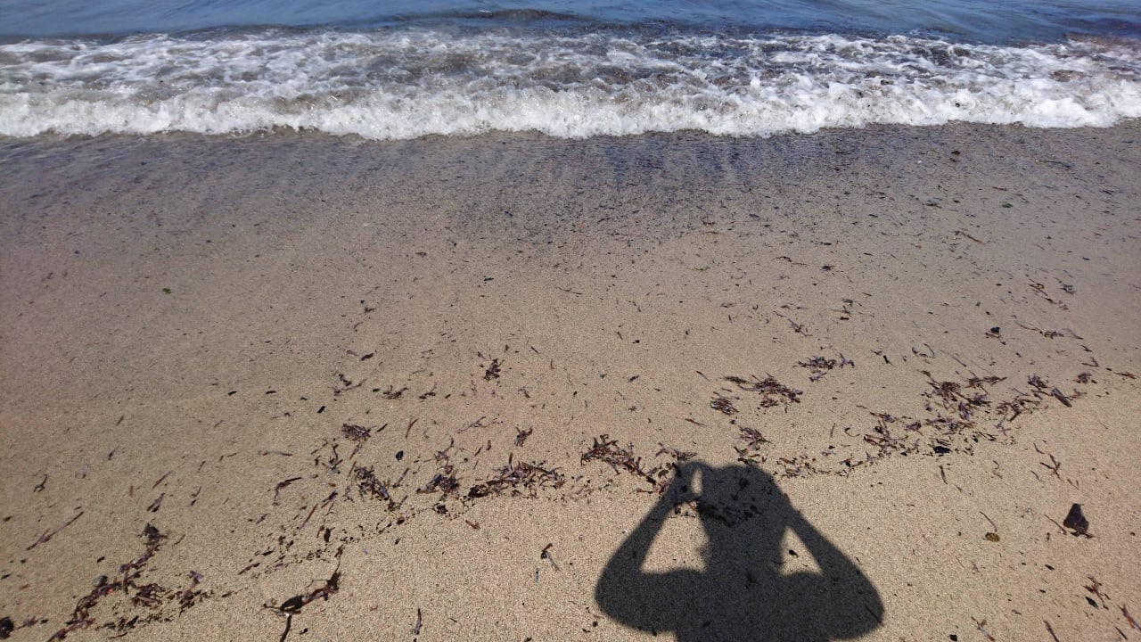 Wasser und Strand verdreckt Playabachata Hotel