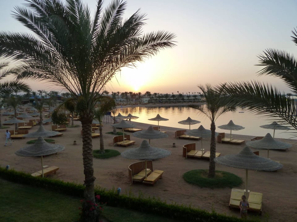 Blick aus Zimmer mit Meerblick Desert Rose