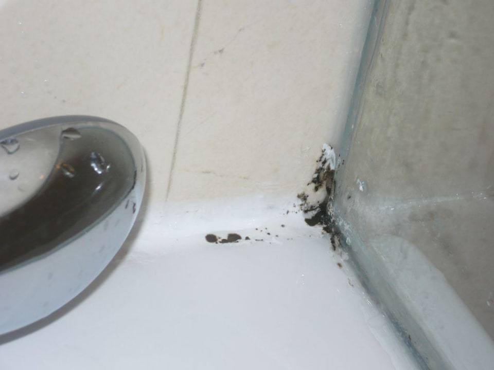 Bad Grand Palladium Select Bávaro Resort & Spa