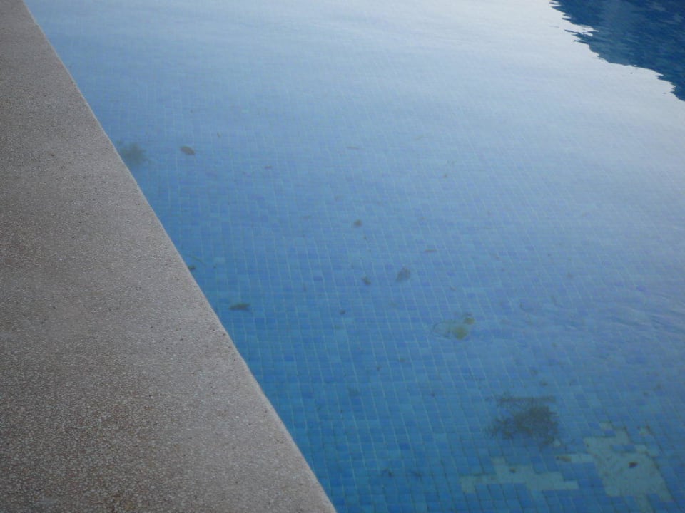 Toller Pool Grupotel Aguait Resort & Spa - Adults only