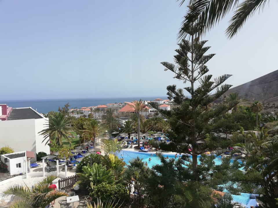 Ausblick allsun App.-Hotel Esquinzo Beach