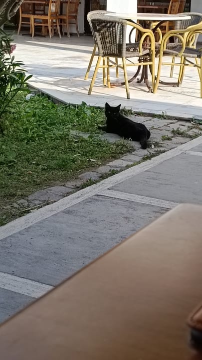 Gartenanlage Dogan Paradise Beach