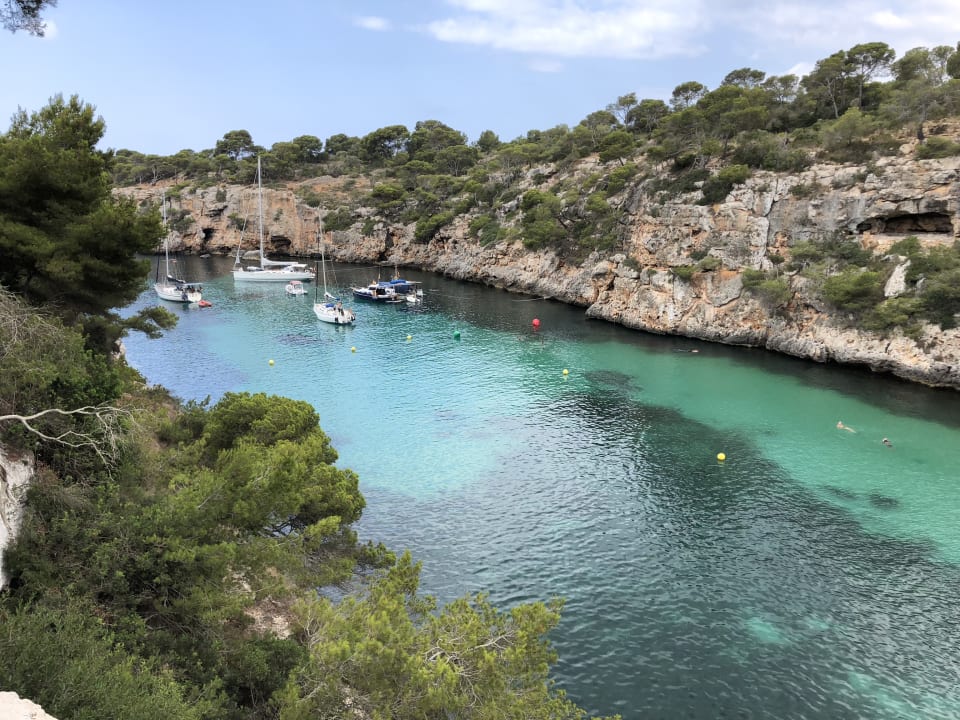 Strand CM Playa del Moro