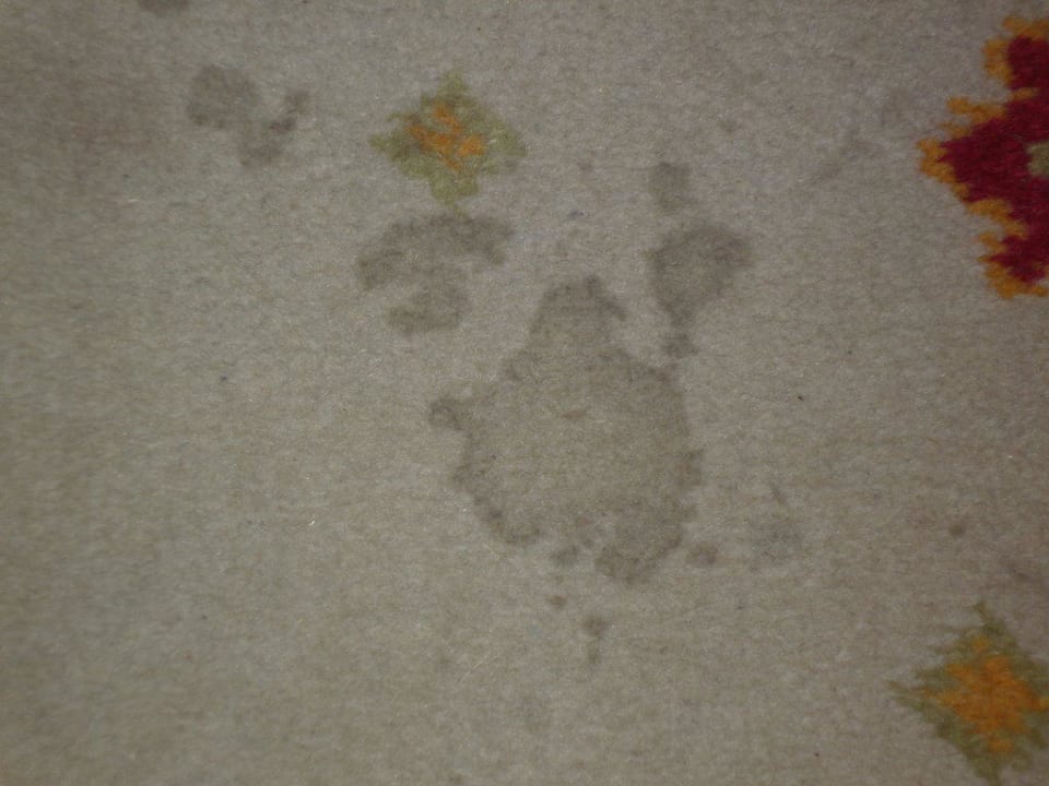 Ekeliger Teppichboden Hotel Defne Garden