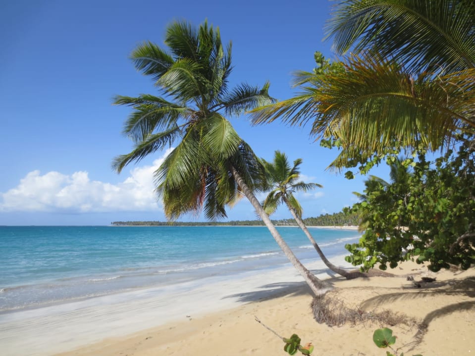 Strand Viva V Samana by Wyndham – Adults Only