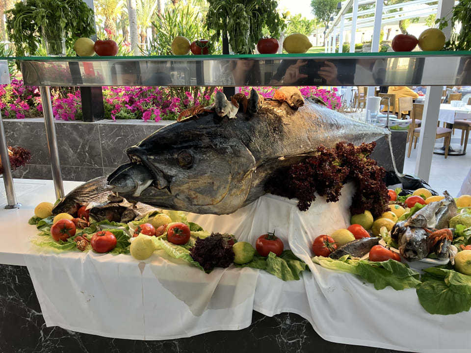 Gastro Monachus Family Resort Sorgun