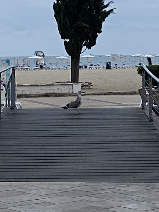 Strand Sentido Neptun Beach