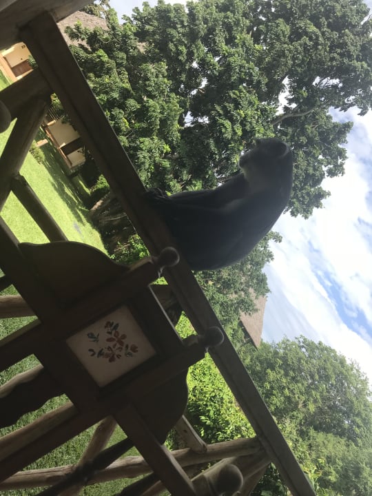 Garten Neptune Palm Beach Boutique Resort & Spa