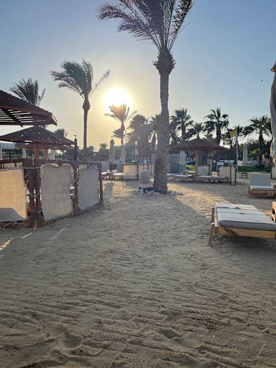 Strand Steigenberger ALDAU Beach Hotel