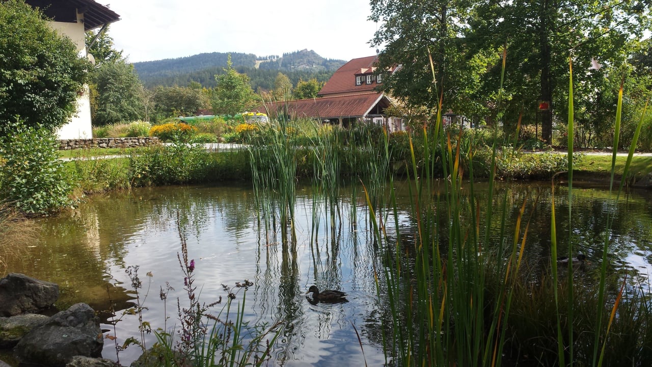 Kurpark mit Blick zum Silberberg Ferienwohnung Fritz Gabi Bodenmais