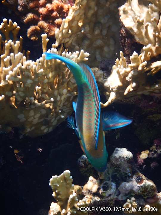 Sport & Freizeit Makadi Spa - Adults only