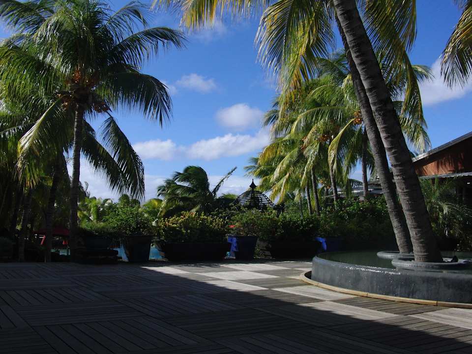 Unser Lieblingsplatz Paradise Cove Boutique Hotel - Adults only