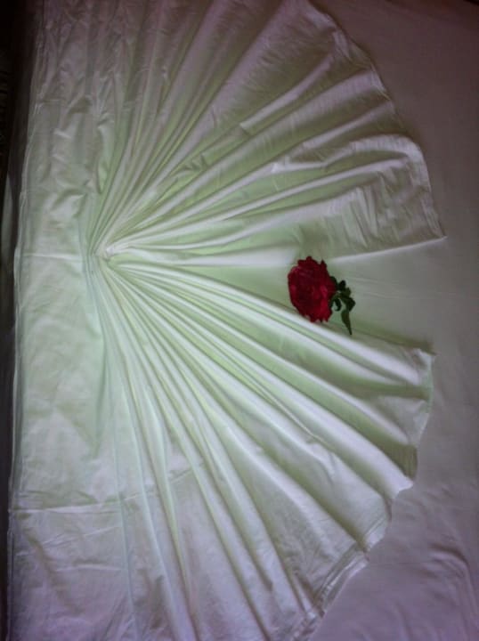 Wenn man nett zu den Reinigungkräften ist Clover Magic Nova Beach