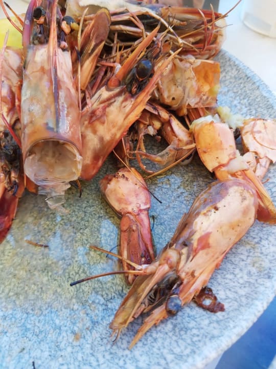 Gastro Crystal Springs Beach Hotel