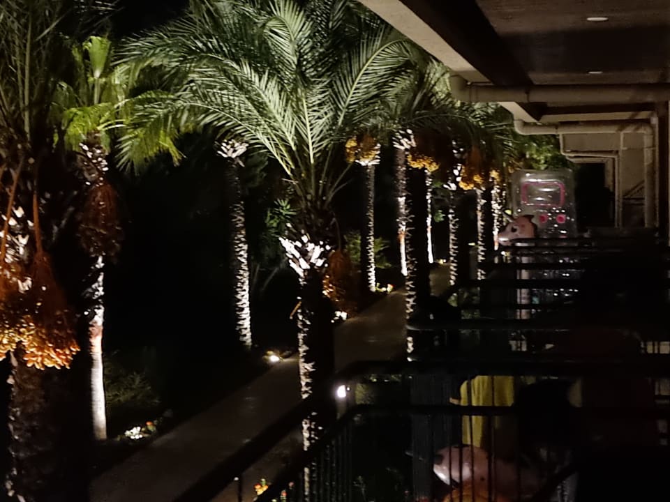 Ausblick TUI BLUE Palm Garden