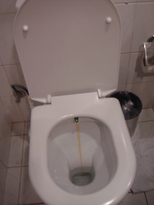 Toaleta Asteria Family Resort Side