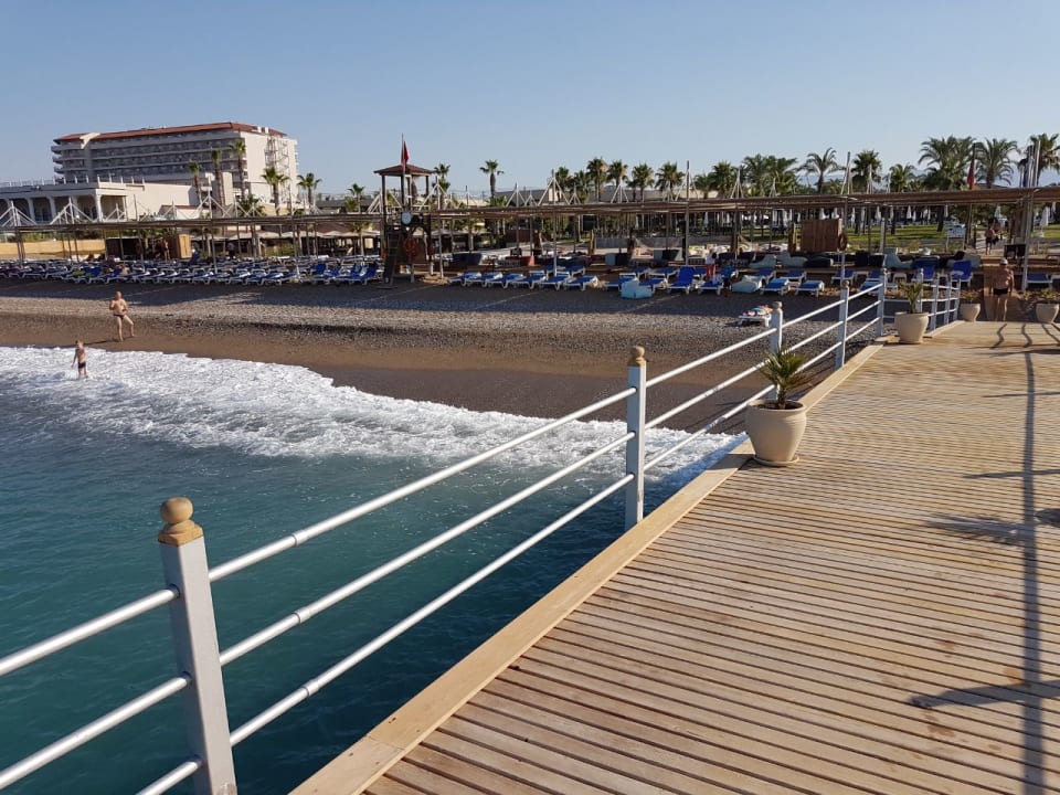 Strand TUI BLUE Palm Garden