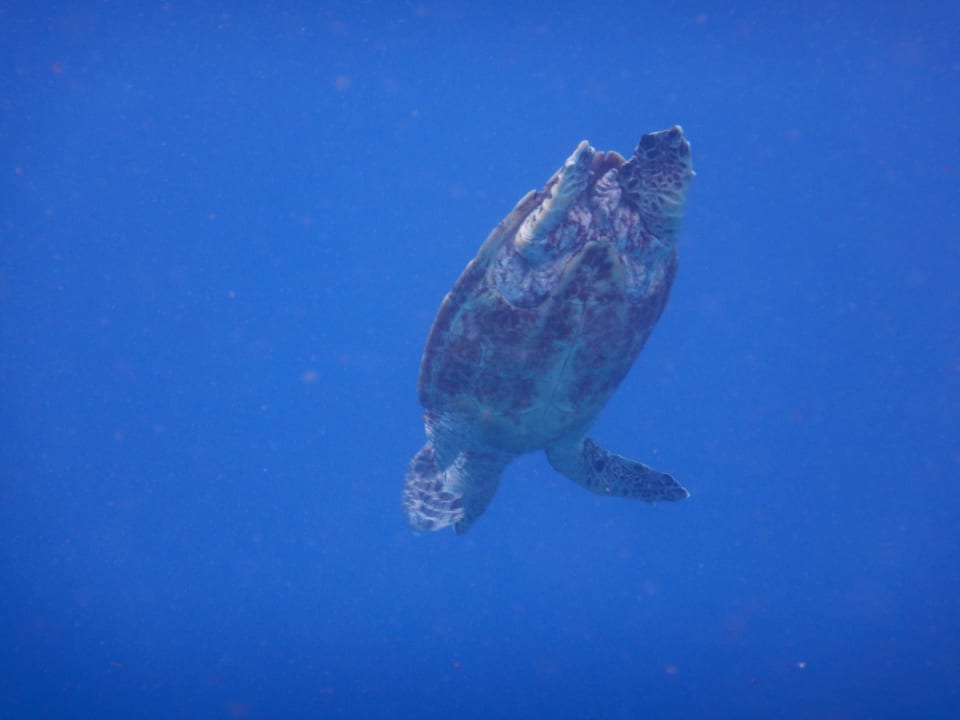 Sport & Freizeit NH Collection Maldives Reethi Resort