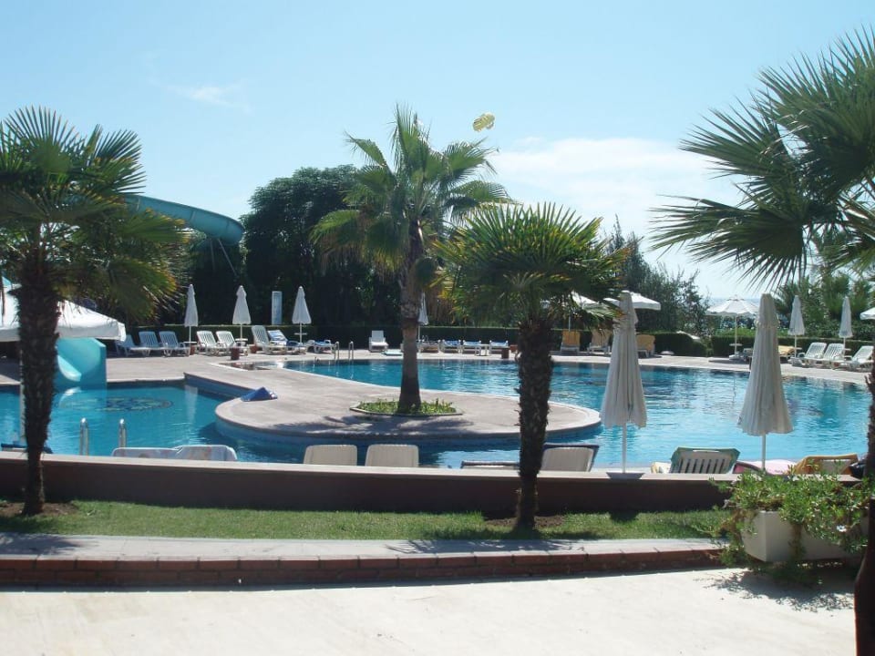 Pool Paloma Oceana