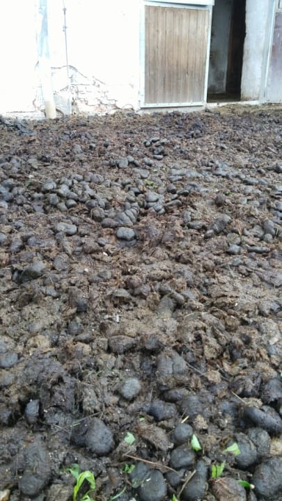 Sonstiges Bernwieserhof