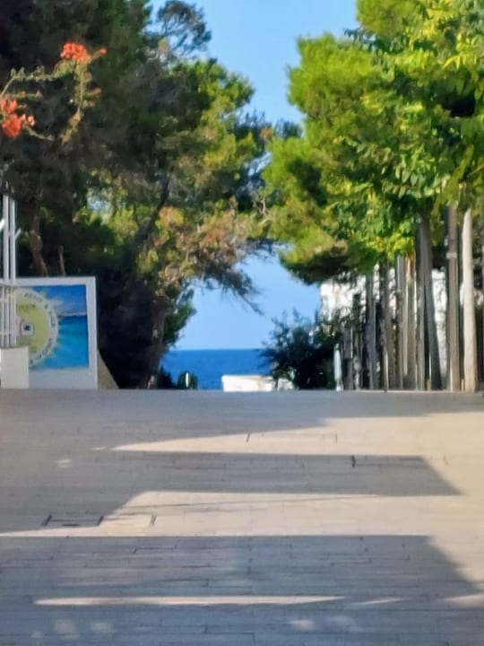 Gartenanlage Hostal Roca Plana