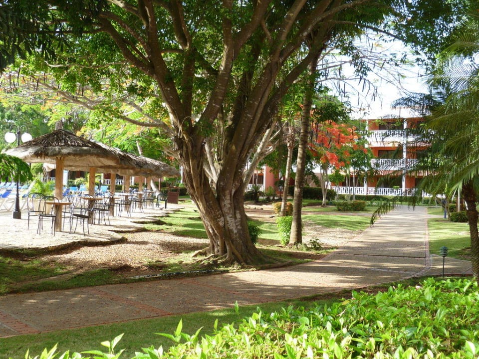 Blick vom Zimmer  BelleVue Dominican Bay