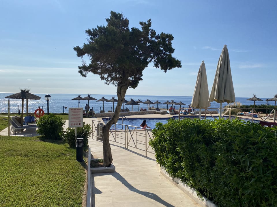 Pool Alua Suites Las Rocas