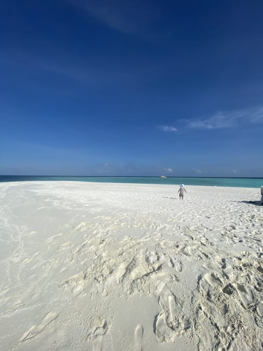 Strand Summer Island Maldives